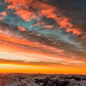 Meet your Posher, Maya